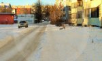 Фотография объекта
