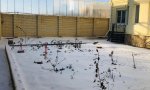 Фотография объекта