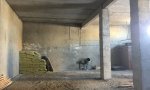 Фотография объекта