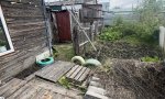 Фотография объекта