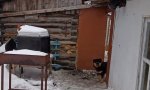 Фотография объекта
