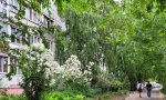 Фотография объекта