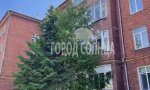 Фотография объекта
