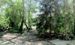 Фотография объекта