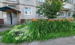 Фотография объекта