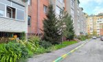Фотография объекта