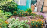 Фотография объекта