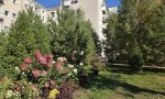 Фотография объекта