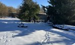 Фотография объекта
